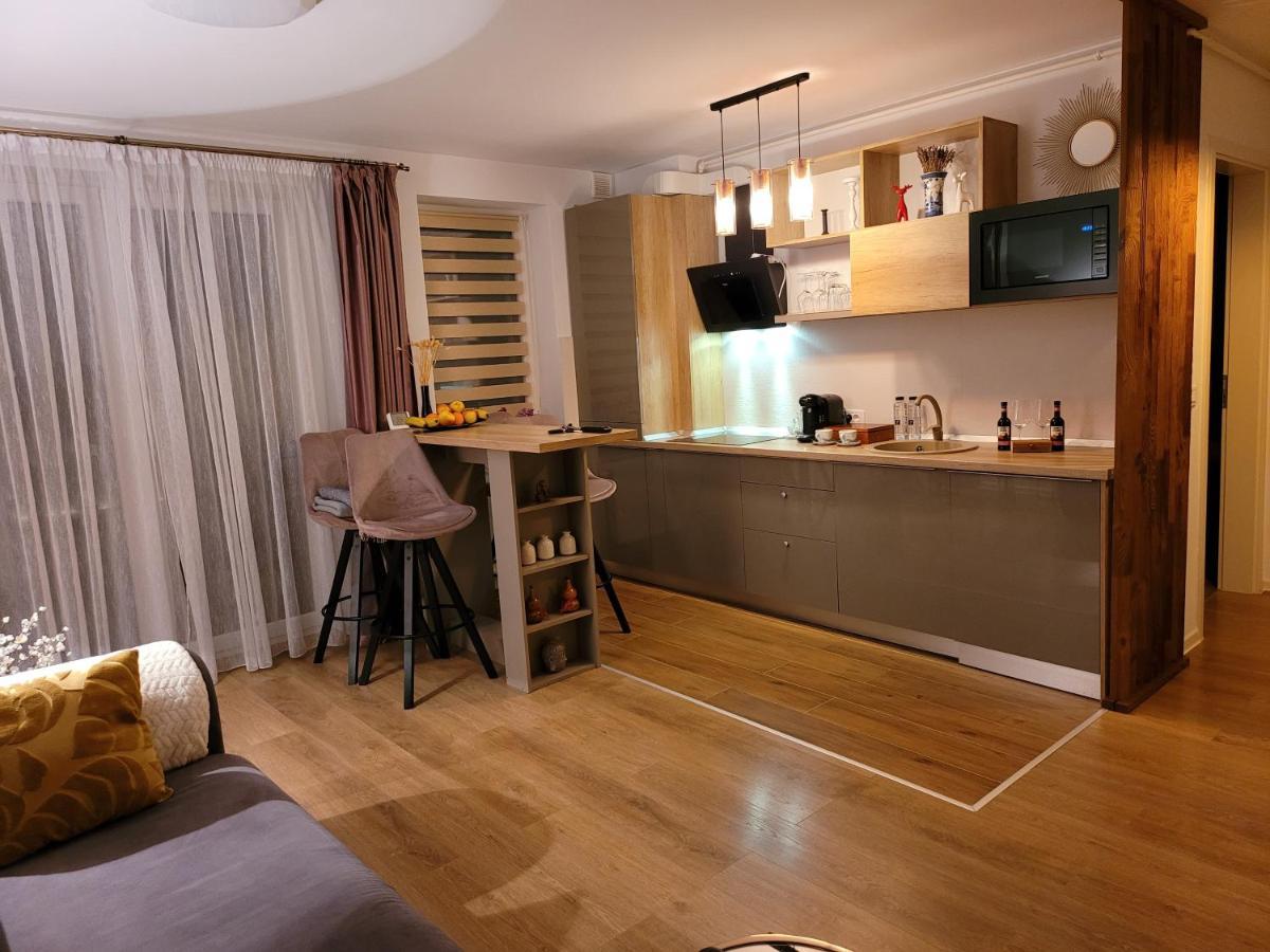 Executive Apartment Avantgarden Coresi Braşov Extérieur photo